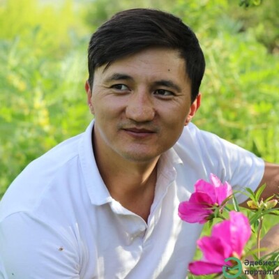 Алмас Нүсіп. Түтінің өшпесін! - adebiportal.kz