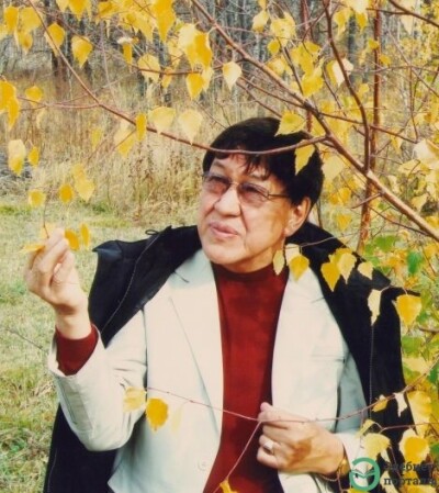 Дидахмет Әшімханұлы. Жынды жел  - adebiportal.kz