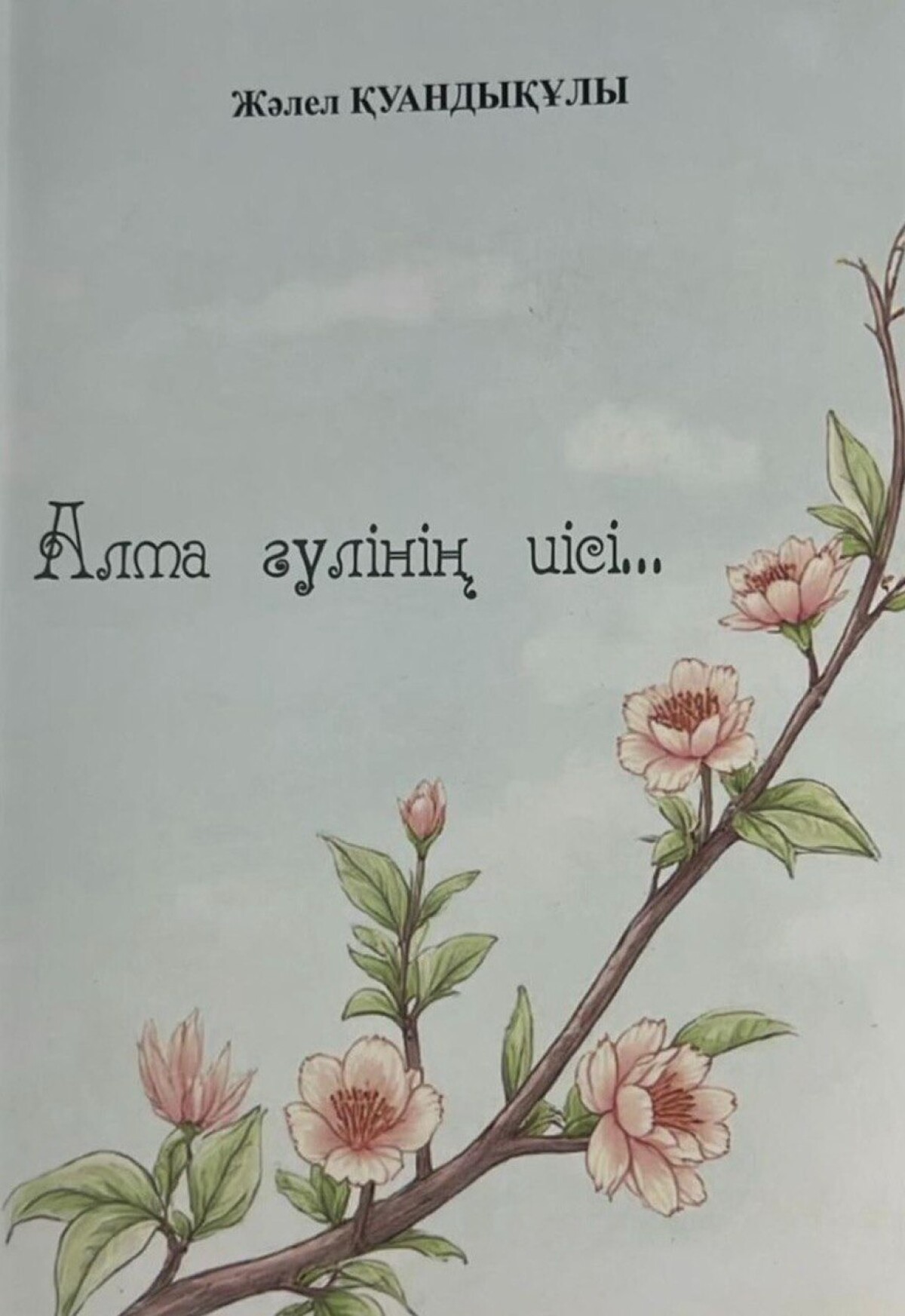 Алма гүлінің иісі