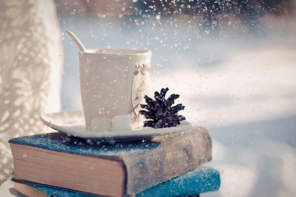 Книги для зимнего настроения  - adebiportal.kz