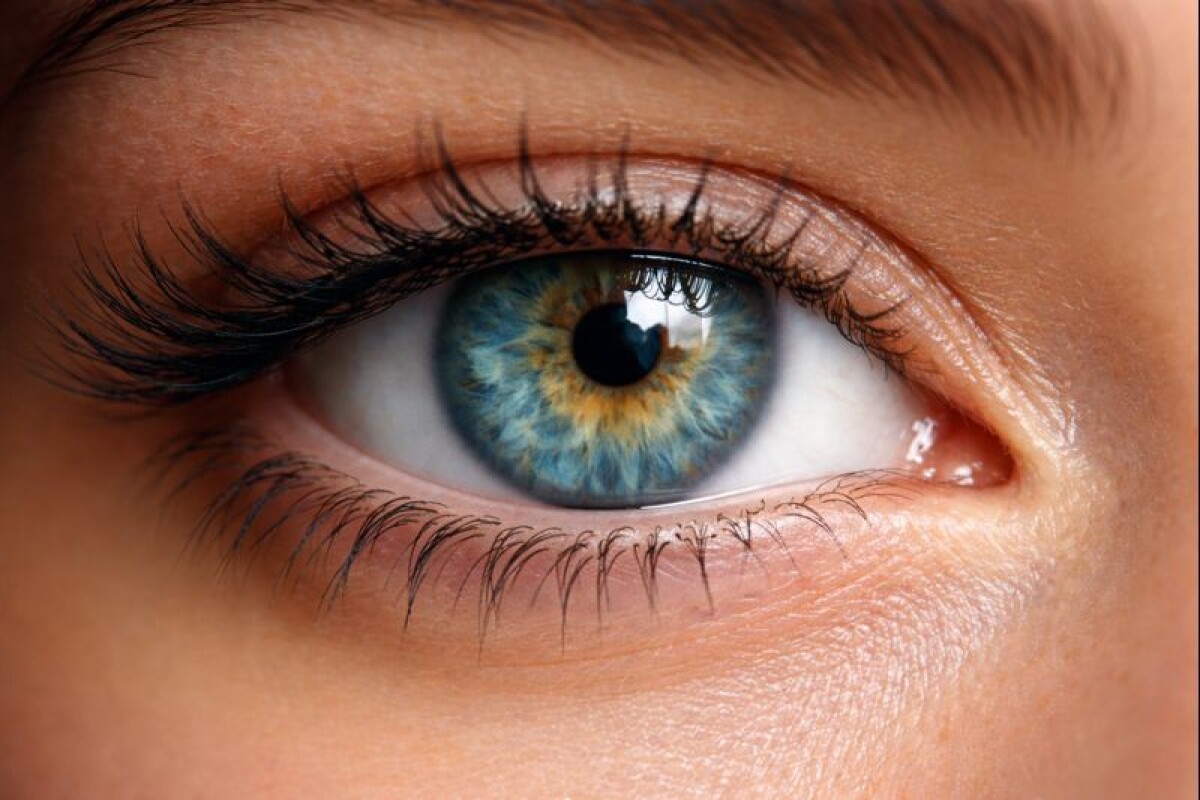 Ақгүл Айдарбекқызы. Жазушы жанарындағы кейіпкер - adebiportal.kz