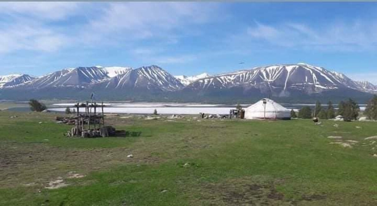 Шерияздан Тайконұлы. Өтсе де көктем, нұрлы жаз - adebiportal.kz