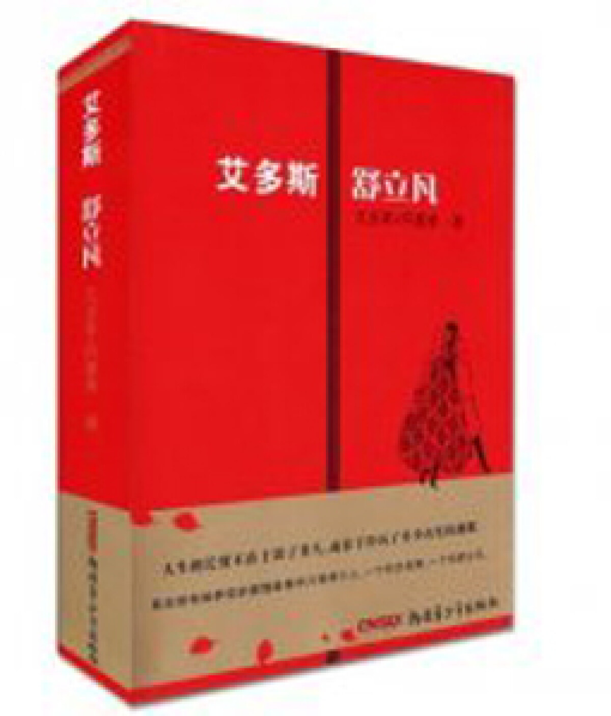 «Айдос-Шолпан» – қытай тілінде жа­рық көрген ал­ғашқы роман - adebiportal.kz