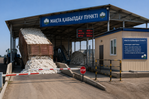 Ақкүрең Бақыт. Байғыздар ауылы