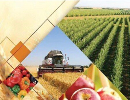 Ауыл шаруашылық қызметкерлері күні һәм ата кәсіп