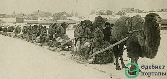 FAMINE OF 1920's and 1930's - фото 22 - adebiportal.kz