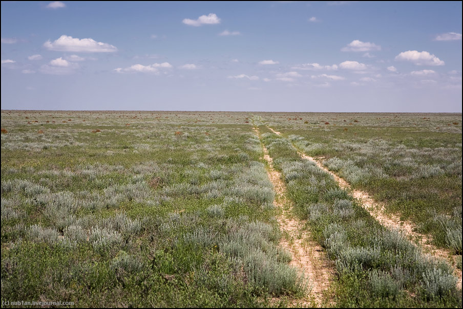 Наталия (Винницкая область, пгт Оратов) читает стих "Нарын" Махамбета Утемисова