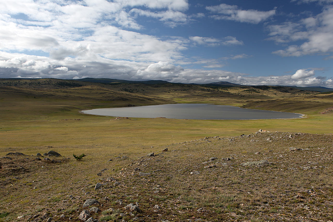 Алена (г. Черновцы) читает стих "Кружится в небе белый сокол" Махамбета Утемисова